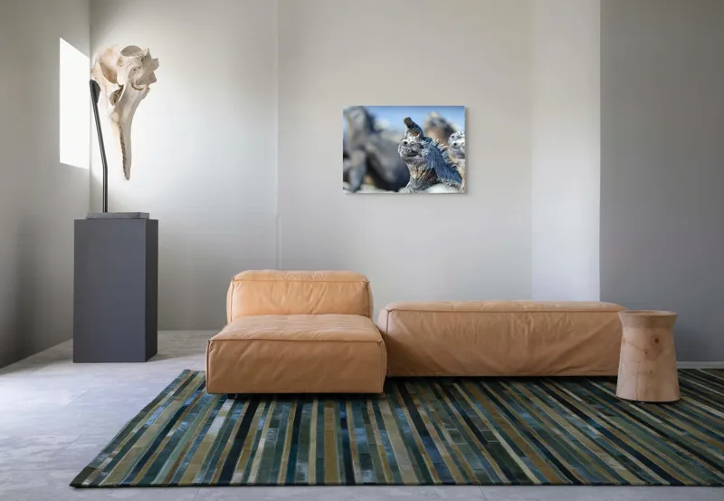 Tablou Canvas, "Împărăția iguanelor sub soare tropical", 70 x 50 cm – poza 8
