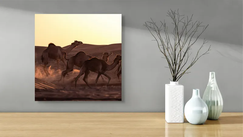 Tablou Canvas, "Caravana de cămile în deșertul auriu", Camile, Deșert, Amurg, Nisip, Aventură, 50 x 50 cm – poza 3