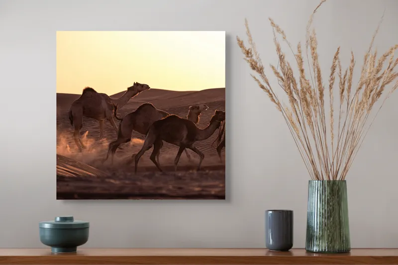 Tablou Canvas, "Caravana de cămile în deșertul auriu", Camile, Deșert, Amurg, Nisip, Aventură, 50 x 50 cm – poza 4