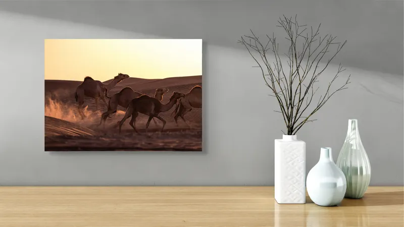 Tablou Canvas, "Caravana de cămile în deșertul auriu", Camile, Deșert, Amurg, Nisip, Aventură, 54 x 39 cm – poza 3