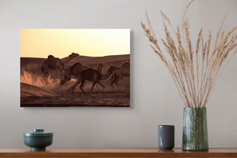 Tablou Canvas, "Caravana de cămile în deșertul auriu", Camile, Deșert, Amurg, Nisip, Aventură, 54 x 39 cm – poza 4