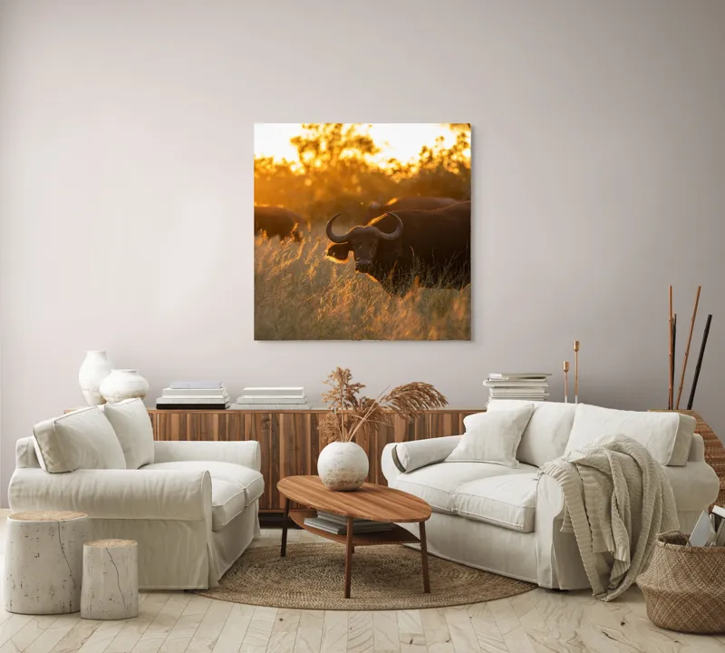 Tablou Canvas, "Aventura bivolilor la apus de soare", Buffalo, Apus, Savana, Iarbă, Siluetă, Serenitate, Natură, Seară, Lumină, Peisaj, 100 x 100 cm – poza 3