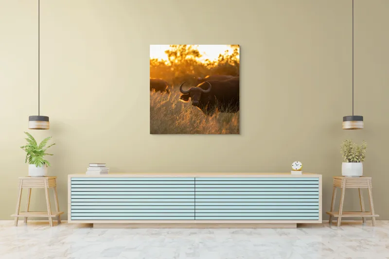 Tablou Canvas, "Aventura bivolilor la apus de soare", Buffalo, Apus, Savana, Iarbă, Siluetă, Serenitate, Natură, Seară, Lumină, Peisaj, 100 x 100 cm – poza 5
