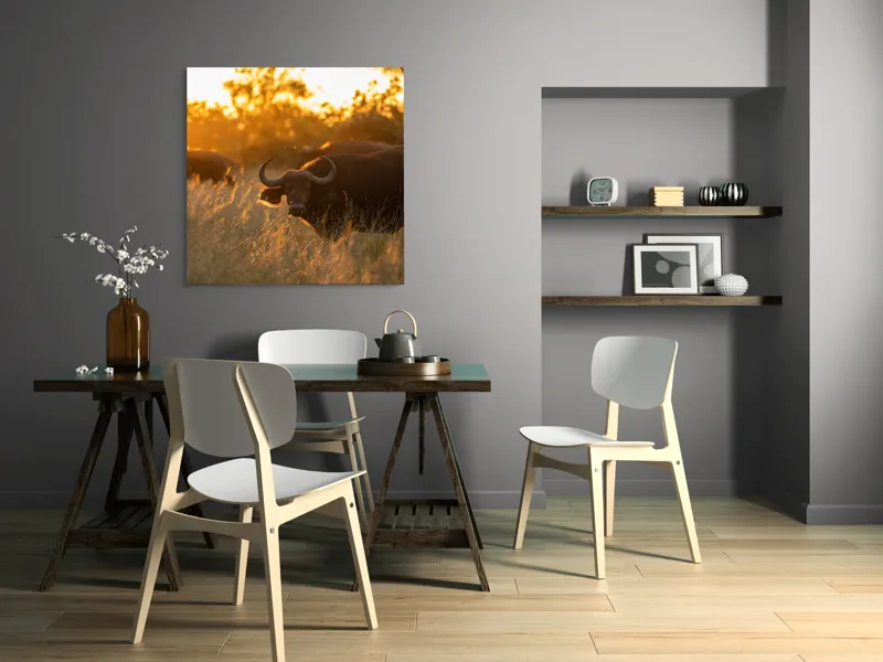 Tablou Canvas, "Aventura bivolilor la apus de soare", Buffalo, Apus, Savana, Iarbă, Siluetă, Serenitate, Natură, Seară, Lumină, Peisaj, 100 x 100 cm – poza 6