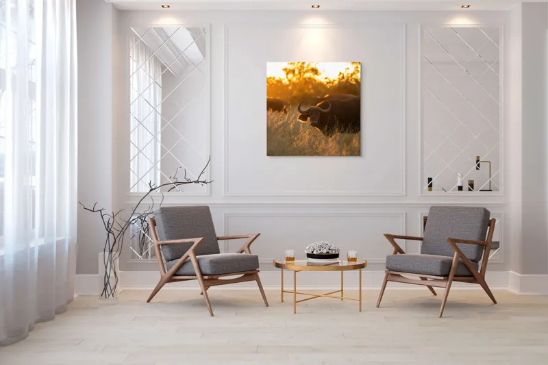 Tablou Canvas, "Aventura bivolilor la apus de soare", Buffalo, Apus, Savana, Iarbă, Siluetă, Serenitate, Natură, Seară, Lumină, Peisaj, 100 x 100 cm – poza 7