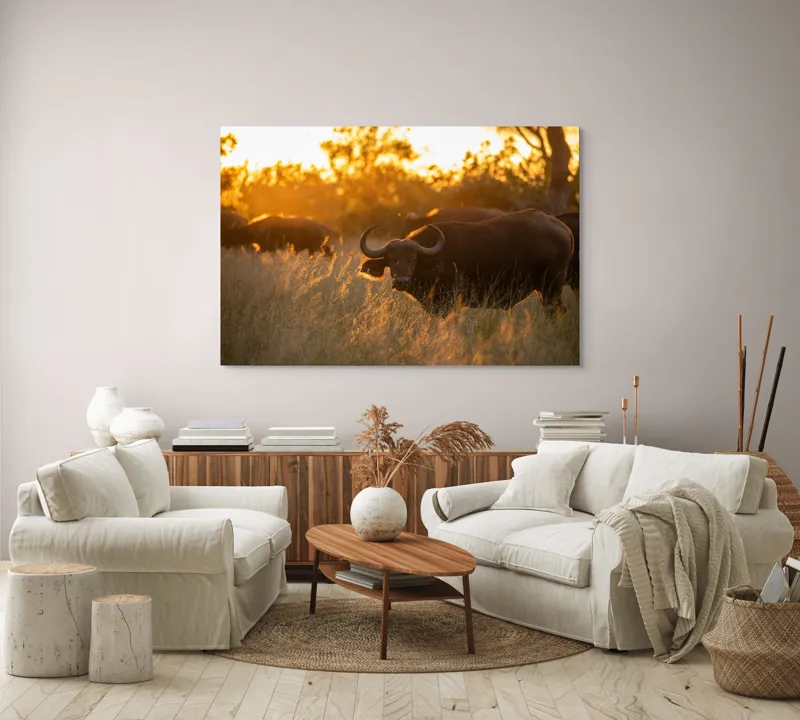 Tablou Canvas, "Aventura bivolilor la apus de soare", Buffalo, Apus, Savana, Iarbă, Siluetă, Serenitate, Natură, Seară, Lumină, Peisaj, 150 x 100 cm – poza 3