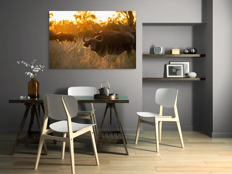 Tablou Canvas, "Aventura bivolilor la apus de soare", Buffalo, Apus, Savana, Iarbă, Siluetă, Serenitate, Natură, Seară, Lumină, Peisaj, 150 x 100 cm – poza 5