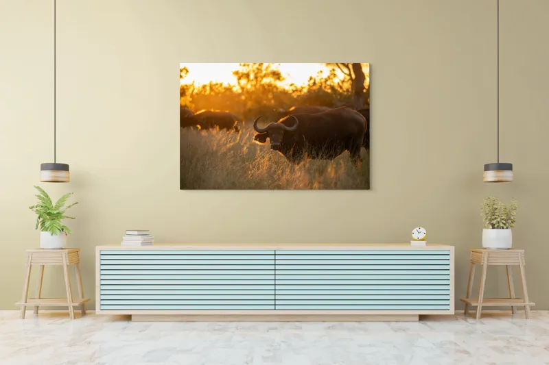 Tablou Canvas, "Aventura bivolilor la apus de soare", Buffalo, Apus, Savana, Iarbă, Siluetă, Serenitate, Natură, Seară, Lumină, Peisaj, 150 x 100 cm – poza 6