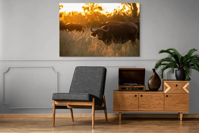 Tablou Canvas, "Aventura bivolilor la apus de soare", Buffalo, Apus, Savana, Iarbă, Siluetă, Serenitate, Natură, Seară, Lumină, Peisaj, 150 x 100 cm – poza 8