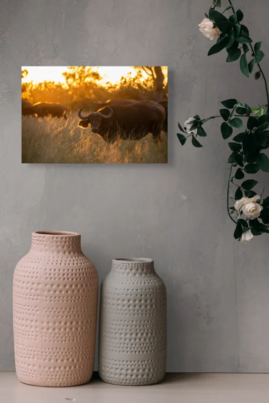 Tablou Canvas, "Aventura bivolilor la apus de soare", Buffalo, Apus, Savana, Iarbă, Siluetă, Serenitate, Natură, Seară, Lumină, Peisaj, 39 x 26 cm – poza 4