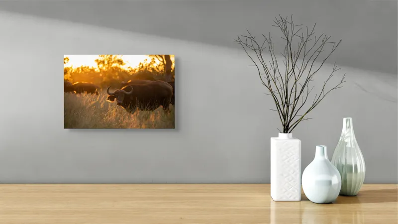 Tablou Canvas, "Aventura bivolilor la apus de soare", Buffalo, Apus, Savana, Iarbă, Siluetă, Serenitate, Natură, Seară, Lumină, Peisaj, 39 x 26 cm – poza 8