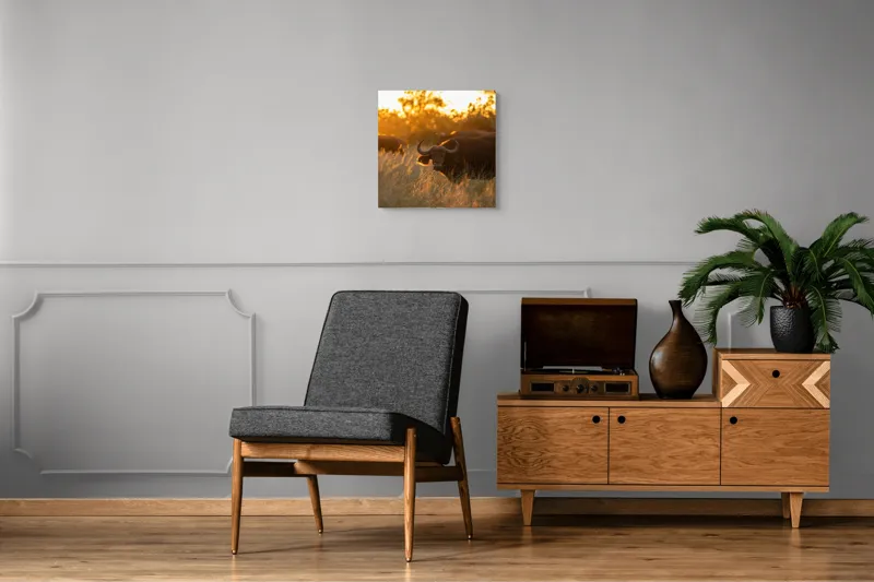 Tablou Canvas, "Aventura bivolilor la apus de soare", Buffalo, Apus, Savana, Iarbă, Siluetă, Serenitate, Natură, Seară, Lumină, Peisaj, 50 x 50 cm – poza 6