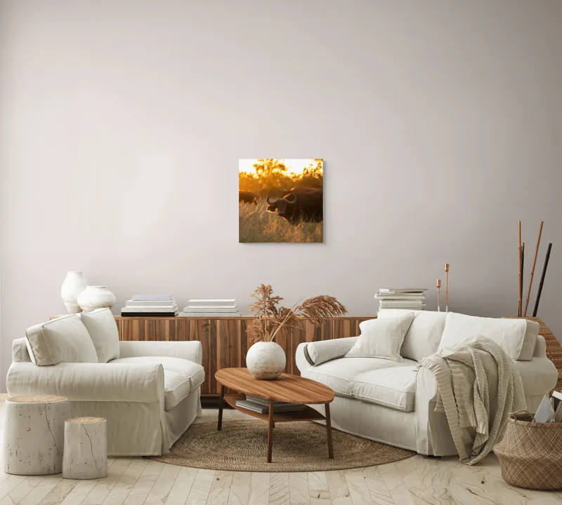 Tablou Canvas, "Aventura bivolilor la apus de soare", Buffalo, Apus, Savana, Iarbă, Siluetă, Serenitate, Natură, Seară, Lumină, Peisaj, 50 x 50 cm – poza 7