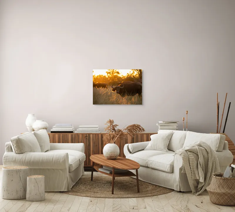 Tablou Canvas, "Aventura bivolilor la apus de soare", Buffalo, Apus, Savana, Iarbă, Siluetă, Serenitate, Natură, Seară, Lumină, Peisaj, 70 x 50 cm – poza 6