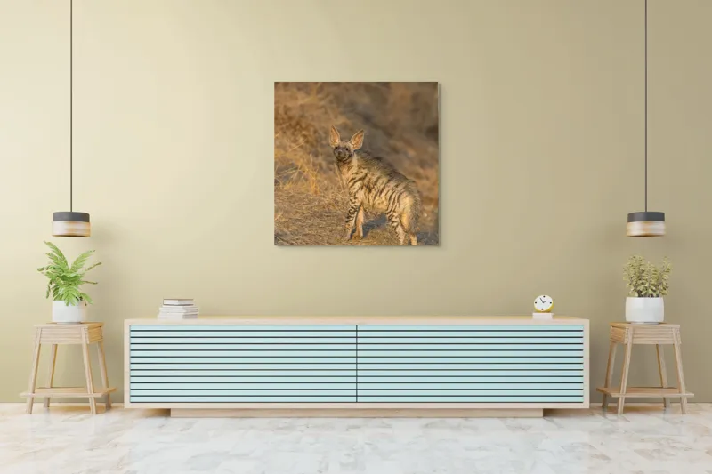 Tablou Canvas, "Hiena în lumina asfințitului african", I don't know who this is., 100 x 100 cm – poza 5