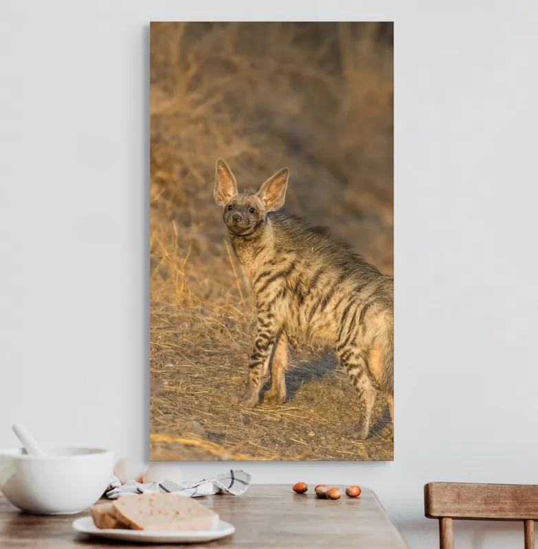 Tablou Canvas, "Hiena în lumina asfințitului african", I don't know who this is., 50 x 90 cm – poza 3