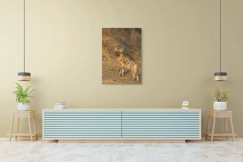Tablou Canvas, "Hiena în lumina asfințitului african", I don't know who this is., 70 x 100 cm – poza 5