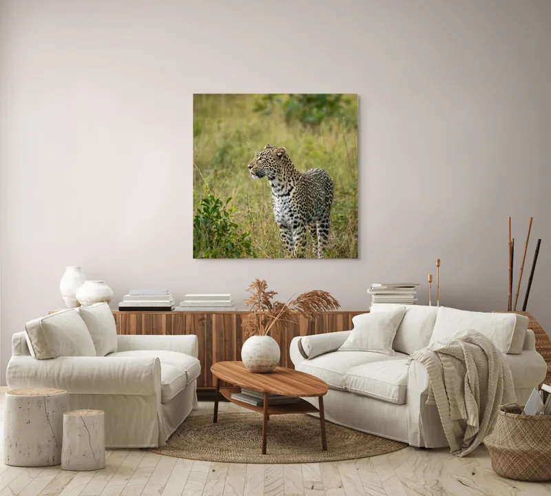 Tablou Canvas, "Leopardul în plimbare prin savană", Leopard, Iarbă, Vegetație, Pândă, Animal, Sălbăticie, Camuflaj, Prădător, Africa, Faună., 100 x 100 cm – poza 3