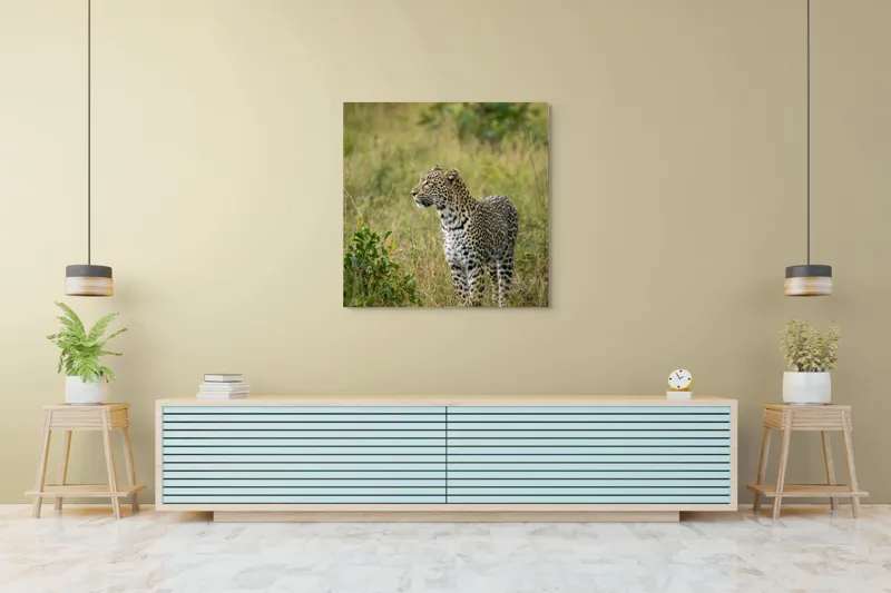 Tablou Canvas, "Leopardul în plimbare prin savană", Leopard, Iarbă, Vegetație, Pândă, Animal, Sălbăticie, Camuflaj, Prădător, Africa, Faună., 100 x 100 cm – poza 5