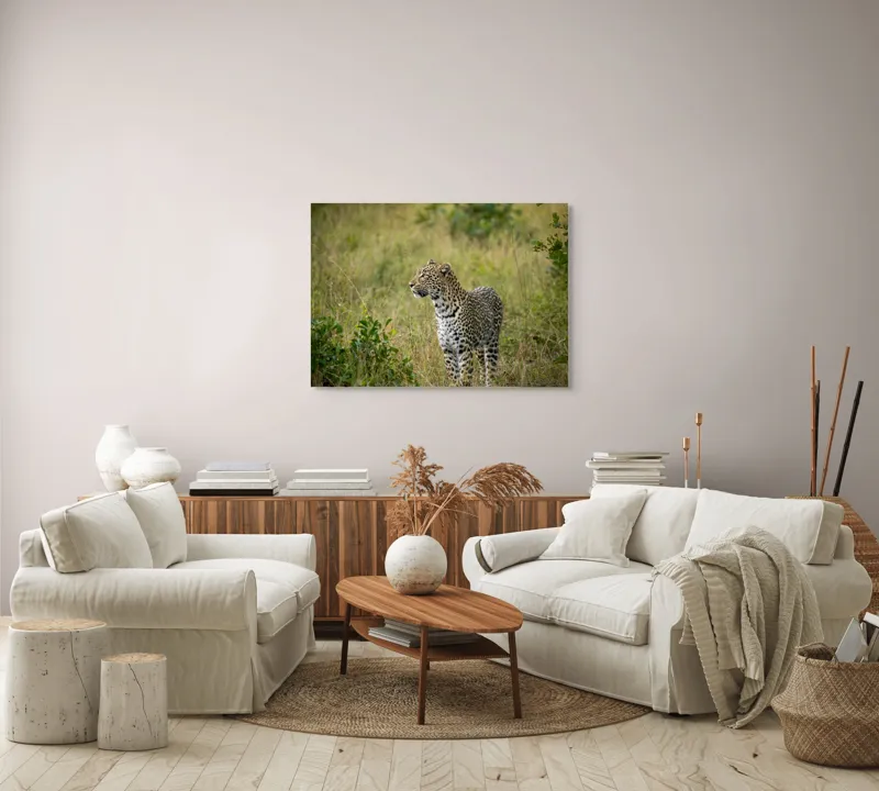 Tablou Canvas, "Leopardul în plimbare prin savană", Leopard, Iarbă, Vegetație, Pândă, Animal, Sălbăticie, Camuflaj, Prădător, Africa, Faună., 100 x 70 cm – poza 3
