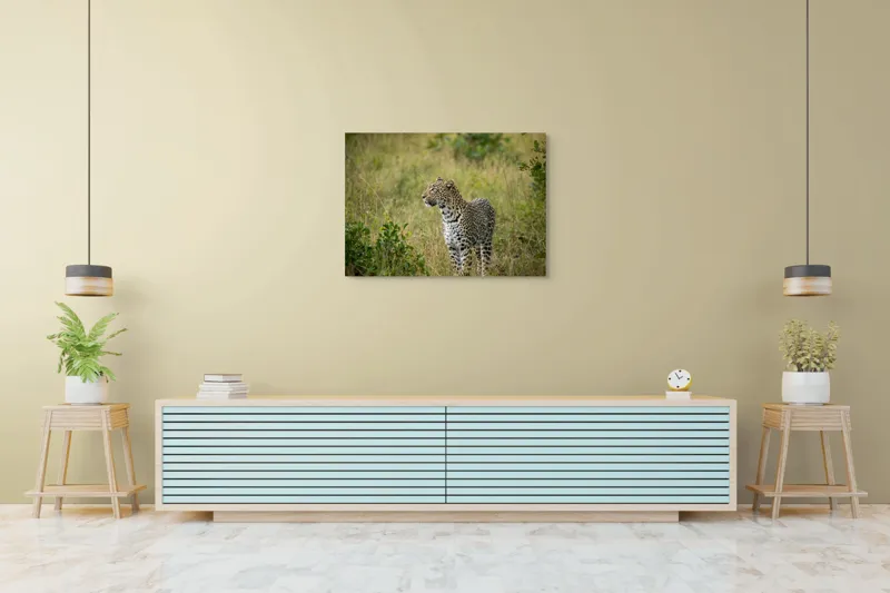 Tablou Canvas, "Leopardul în plimbare prin savană", Leopard, Iarbă, Vegetație, Pândă, Animal, Sălbăticie, Camuflaj, Prădător, Africa, Faună., 100 x 70 cm – poza 4