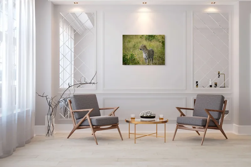 Tablou Canvas, "Leopardul în plimbare prin savană", Leopard, Iarbă, Vegetație, Pândă, Animal, Sălbăticie, Camuflaj, Prădător, Africa, Faună., 100 x 70 cm – poza 5
