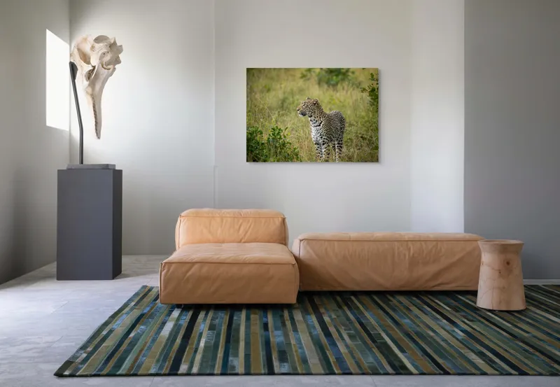 Tablou Canvas, "Leopardul în plimbare prin savană", Leopard, Iarbă, Vegetație, Pândă, Animal, Sălbăticie, Camuflaj, Prădător, Africa, Faună., 100 x 70 cm – poza 7