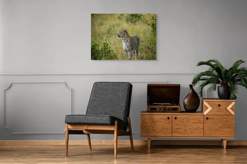 Tablou Canvas, "Leopardul în plimbare prin savană", Leopard, Iarbă, Vegetație, Pândă, Animal, Sălbăticie, Camuflaj, Prădător, Africa, Faună., 100 x 70 cm – poza 8