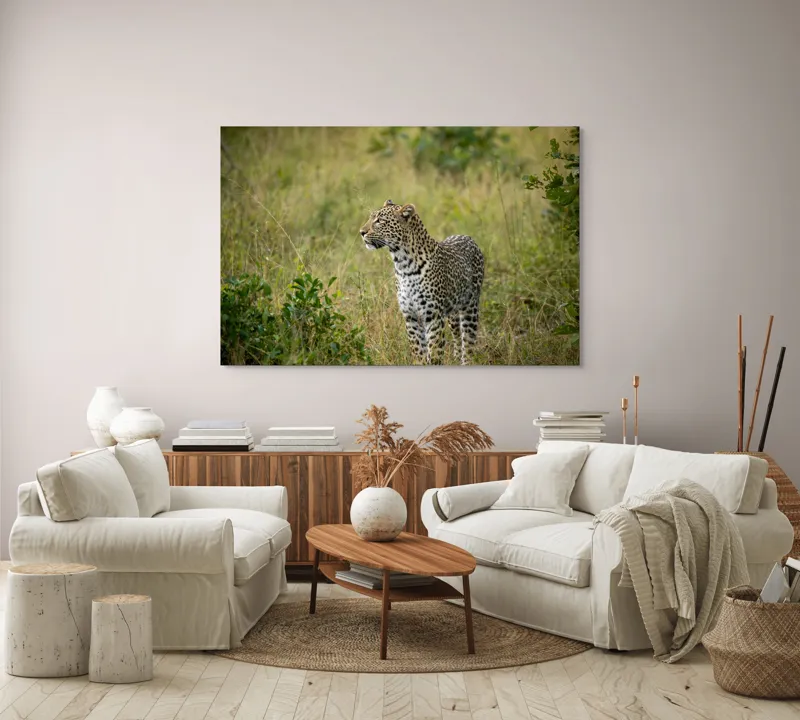 Tablou Canvas, "Leopardul în plimbare prin savană", Leopard, Iarbă, Vegetație, Pândă, Animal, Sălbăticie, Camuflaj, Prădător, Africa, Faună., 150 x 100 cm – poza 3