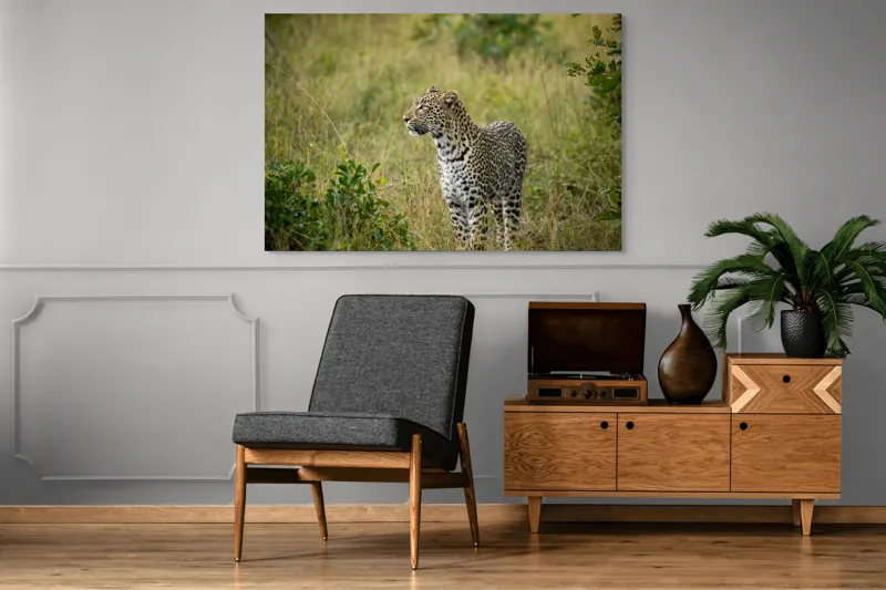 Tablou Canvas, "Leopardul în plimbare prin savană", Leopard, Iarbă, Vegetație, Pândă, Animal, Sălbăticie, Camuflaj, Prădător, Africa, Faună., 150 x 100 cm – poza 8