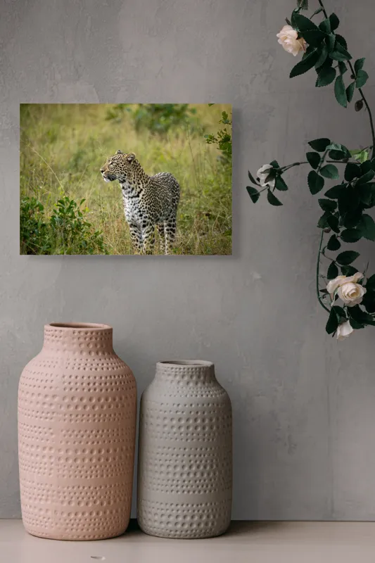 Tablou Canvas, "Leopardul în plimbare prin savană", Leopard, Iarbă, Vegetație, Pândă, Animal, Sălbăticie, Camuflaj, Prădător, Africa, Faună., 54 x 39 cm – poza 8