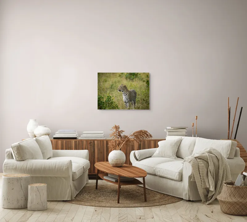 Tablou Canvas, "Leopardul în plimbare prin savană", Leopard, Iarbă, Vegetație, Pândă, Animal, Sălbăticie, Camuflaj, Prădător, Africa, Faună., 70 x 50 cm – poza 6
