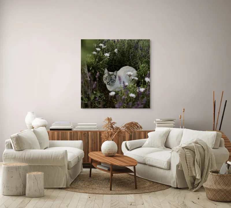Tablou Canvas, "Pisica odihnindu-se printre lavande.", Pisică, Lavandă, Flori, Grădină, Relaxare, Natură, Ochii, Blană, Verdeață, Mister., 100 x 100 cm – poza 3