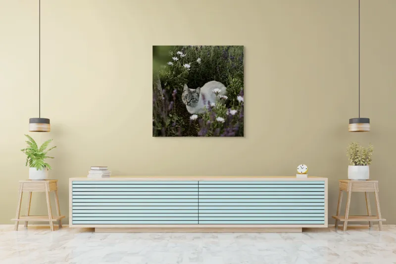 Tablou Canvas, "Pisica odihnindu-se printre lavande.", Pisică, Lavandă, Flori, Grădină, Relaxare, Natură, Ochii, Blană, Verdeață, Mister., 100 x 100 cm – poza 5
