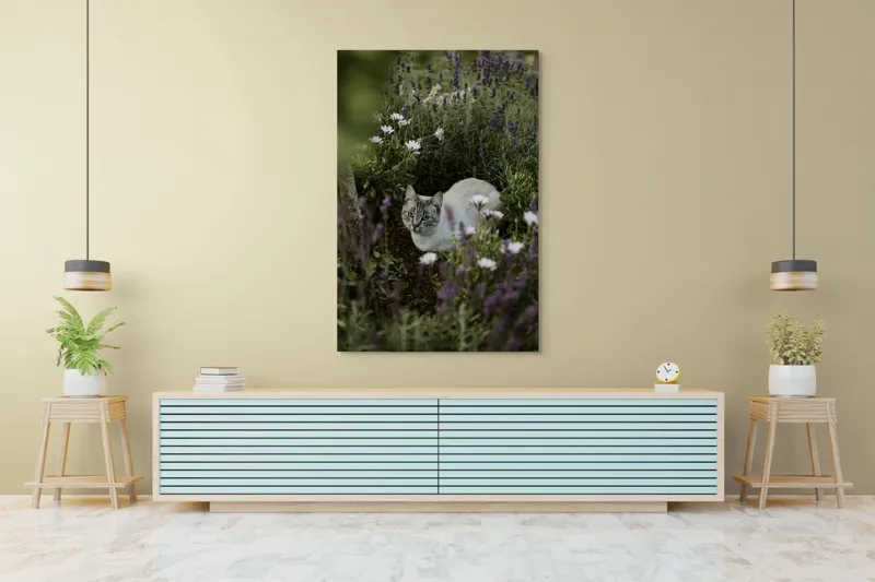Tablou Canvas, "Pisica odihnindu-se printre lavande.", Pisică, Lavandă, Flori, Grădină, Relaxare, Natură, Ochii, Blană, Verdeață, Mister., 100 x 150 cm – poza 4