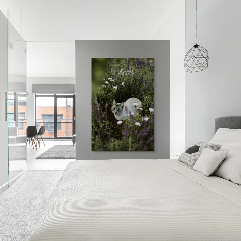 Tablou Canvas, "Pisica odihnindu-se printre lavande.", Pisică, Lavandă, Flori, Grădină, Relaxare, Natură, Ochii, Blană, Verdeață, Mister., 100 x 150 cm – poza 5
