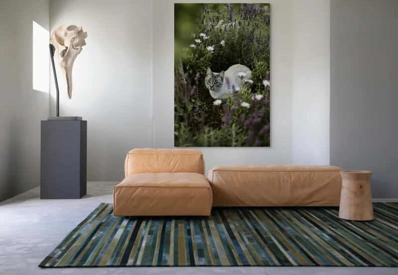 Tablou Canvas, "Pisica odihnindu-se printre lavande.", Pisică, Lavandă, Flori, Grădină, Relaxare, Natură, Ochii, Blană, Verdeață, Mister., 100 x 150 cm – poza 7