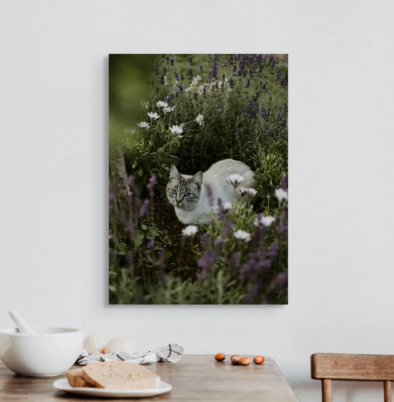 Tablou Canvas, "Pisica odihnindu-se printre lavande.", Pisică, Lavandă, Flori, Grădină, Relaxare, Natură, Ochii, Blană, Verdeață, Mister., 50 x 70 cm – poza 3