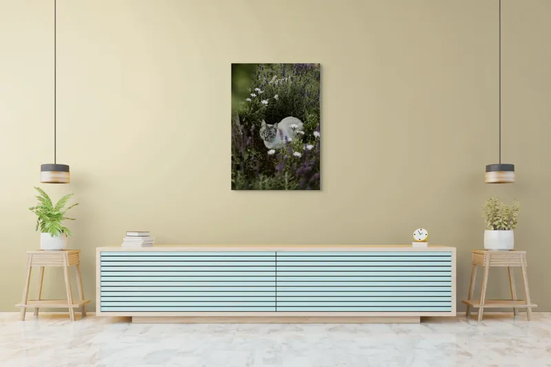 Tablou Canvas, "Pisica odihnindu-se printre lavande.", Pisică, Lavandă, Flori, Grădină, Relaxare, Natură, Ochii, Blană, Verdeață, Mister., 70 x 100 cm – poza 5