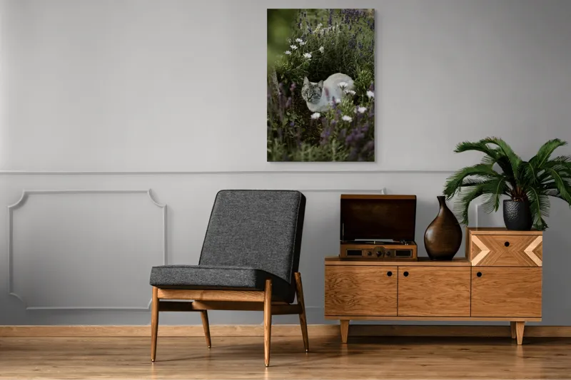 Tablou Canvas, "Pisica odihnindu-se printre lavande.", Pisică, Lavandă, Flori, Grădină, Relaxare, Natură, Ochii, Blană, Verdeață, Mister., 70 x 100 cm – poza 6