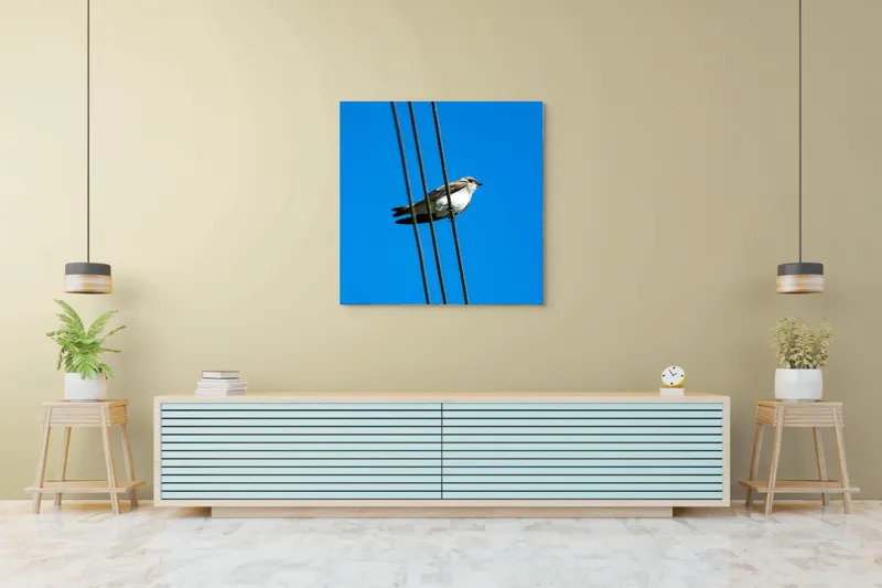 Tablou Canvas, "Pasărea singuratică pe fir electric", Pasăre, Fir, Cer, Albastru, Panoramă, Natură, Aripă, Penaj., 100 x 100 cm – poza 5
