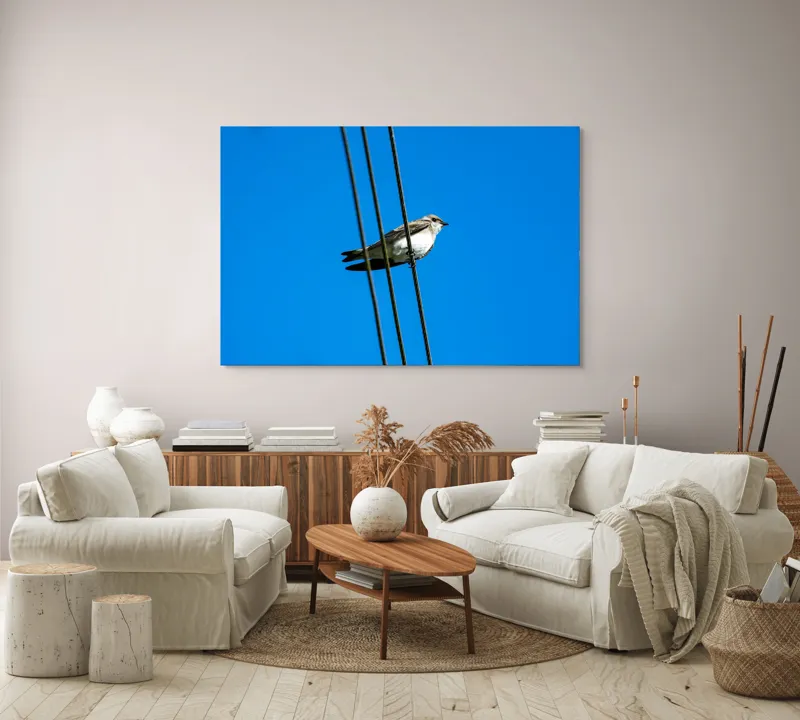 Tablou Canvas, "Pasărea singuratică pe fir electric", Pasăre, Fir, Cer, Albastru, Panoramă, Natură, Aripă, Penaj., 150 x 100 cm – poza 3