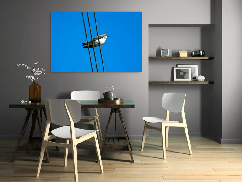 Tablou Canvas, "Pasărea singuratică pe fir electric", Pasăre, Fir, Cer, Albastru, Panoramă, Natură, Aripă, Penaj., 150 x 100 cm – poza 5