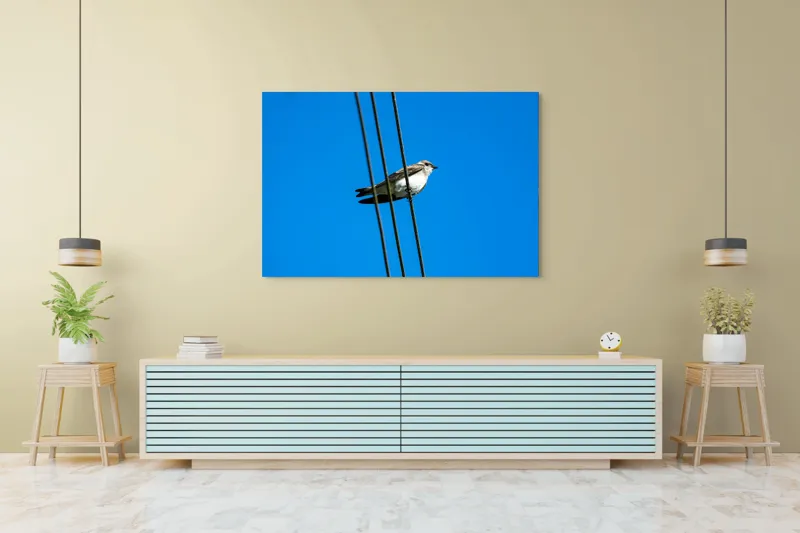 Tablou Canvas, "Pasărea singuratică pe fir electric", Pasăre, Fir, Cer, Albastru, Panoramă, Natură, Aripă, Penaj., 150 x 100 cm – poza 6