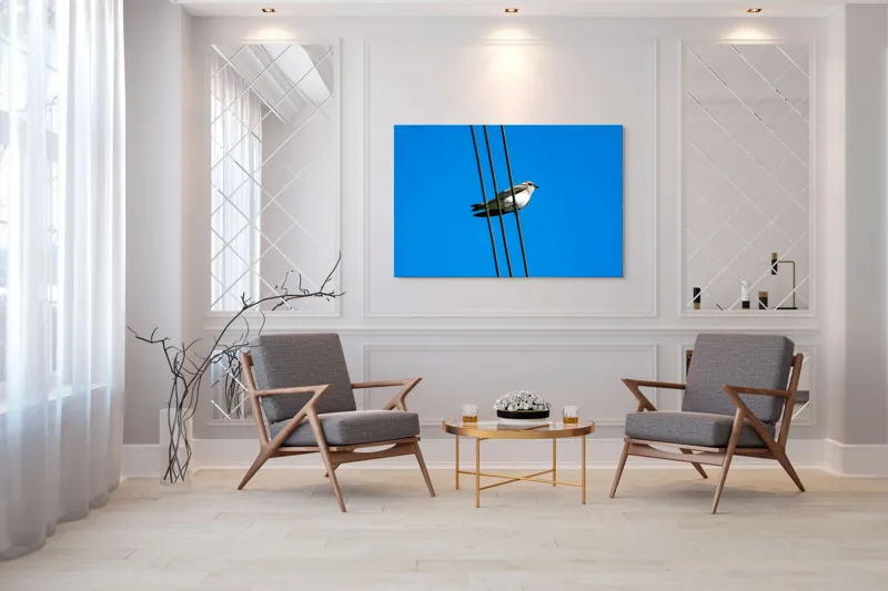Tablou Canvas, "Pasărea singuratică pe fir electric", Pasăre, Fir, Cer, Albastru, Panoramă, Natură, Aripă, Penaj., 150 x 100 cm – poza 7