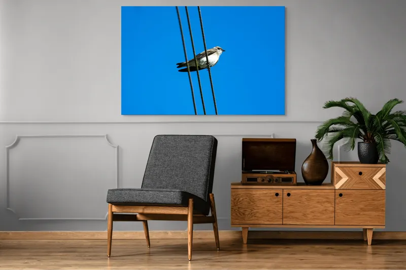Tablou Canvas, "Pasărea singuratică pe fir electric", Pasăre, Fir, Cer, Albastru, Panoramă, Natură, Aripă, Penaj., 150 x 100 cm – poza 8