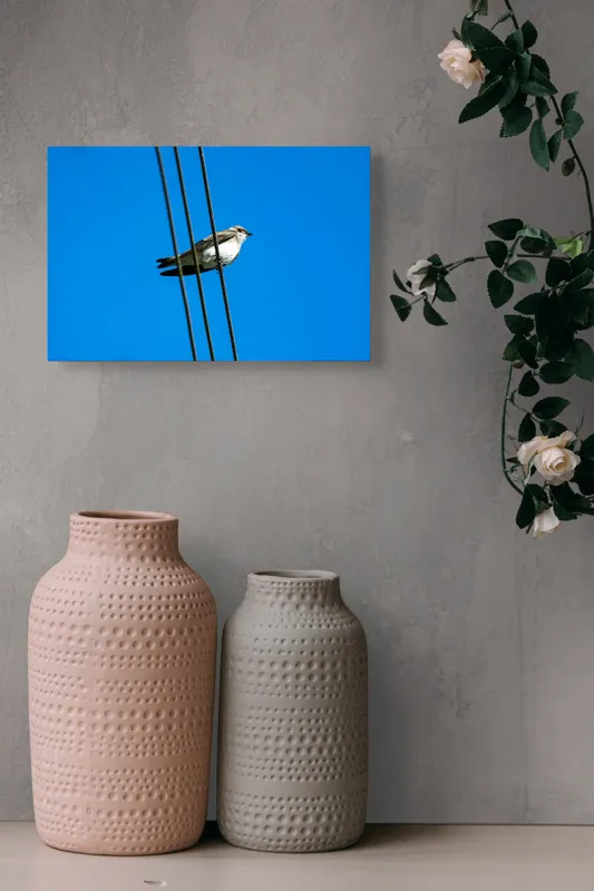 Tablou Canvas, "Pasărea singuratică pe fir electric", Pasăre, Fir, Cer, Albastru, Panoramă, Natură, Aripă, Penaj., 39 x 26 cm – poza 4