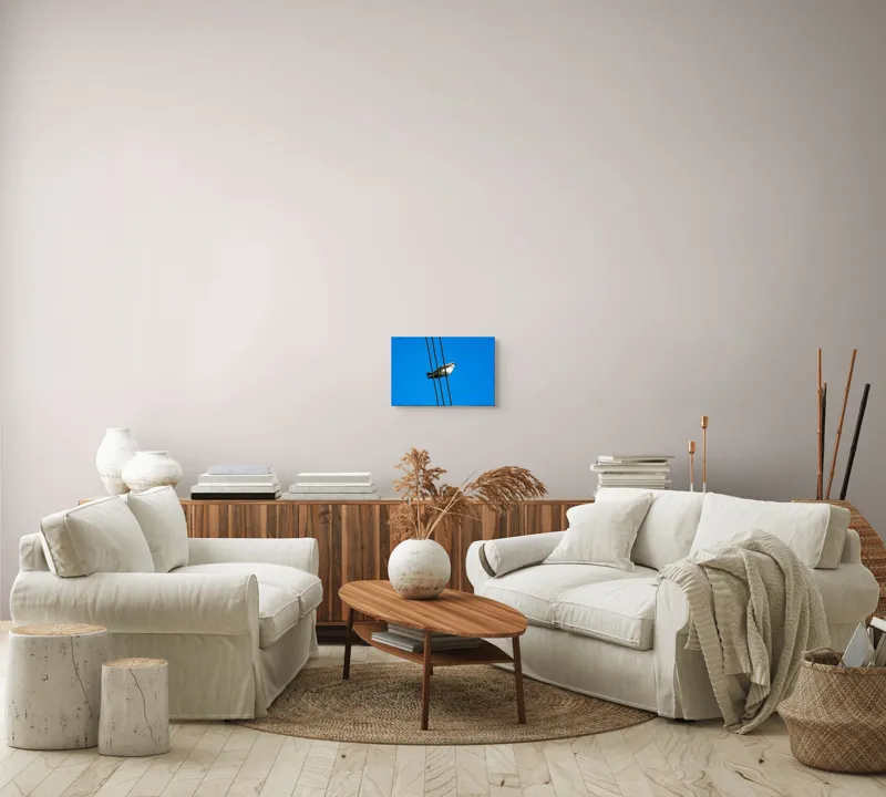 Tablou Canvas, "Pasărea singuratică pe fir electric", Pasăre, Fir, Cer, Albastru, Panoramă, Natură, Aripă, Penaj., 39 x 26 cm – poza 7