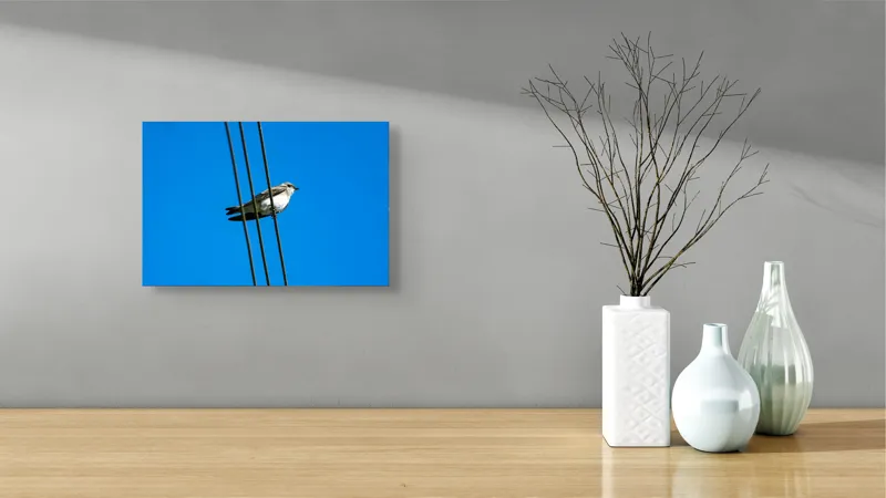 Tablou Canvas, "Pasărea singuratică pe fir electric", Pasăre, Fir, Cer, Albastru, Panoramă, Natură, Aripă, Penaj., 39 x 26 cm – poza 8