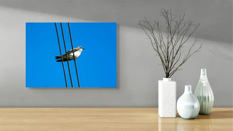 Tablou Canvas, "Pasărea singuratică pe fir electric", Pasăre, Fir, Cer, Albastru, Panoramă, Natură, Aripă, Penaj., 54 x 39 cm – poza 3